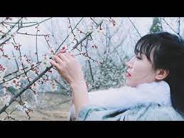 special pigeon soup it s good for you when the spring comes春暖花开 来一碗梅花鸽子汤补补元气 youtube blooming flowers warm soup bloom
