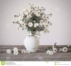 Vaso con due fiori bianchi. Fiori Bianchi In Vaso