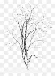 Check spelling or type a new query. Tree Sketch Png Tree Sketch Logo Tree Sketch Borders Tree Sketch Lines Tree Sketch 3d Tree Sketch Color Tree Sketch Design Tree Sketch Vector Tree Sketch Family Tree Sketch Black Tree Sketch Background Tree Sketch Ideas Tree Sketch Printables