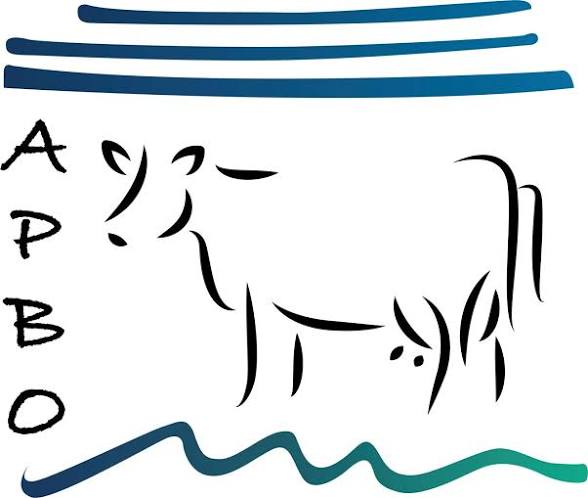 https://encrypted-tbn0.gstatic.com/images?q=tbn:ANd9GcSIME8bSbbnLH9sfEJX4FdSlKuDkXor8ZoEl9OFJANoUg&s=10