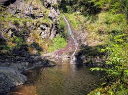 Circuitul canionului de pe valea lui stan. Valea Lui Stan Canyon Casa Medievala