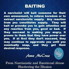 Instagram Narcissistic Abuse Narcissistic Supply Dark Triad