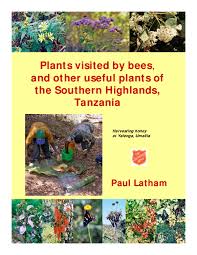 Image result for Kotschya uguenensis