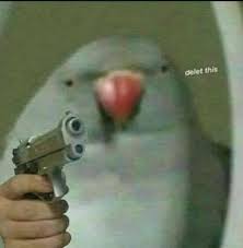 pin de doritoso drogs em responding fotos engracadas para perfil rostos de meme imagens muito engracadas