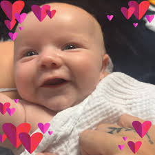 Hi looking for a little companion pony (gelding) to keep my 20yo cob  company. Looks and age not important as being good natured easy to do and  able to stay