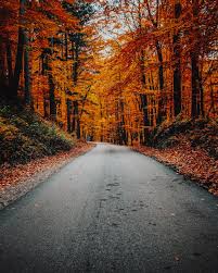 Select and download wallpaper for windows and android! Autumn Wallpapers Free Hd Download 500 Hq Unsplash