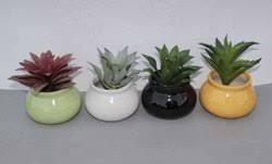 Maybe you would like to learn more about one of these? White Planting Matki Small Succulent Pots For Garden Id 15128201155