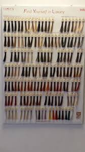 hair colour wall chart in luton bedfordshire gumtree