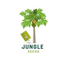 Image result for Erythrina livingstoniana