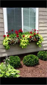 Gifts for coffee lovers creative and inexpensive. 42 Best Flowers For Window Boxes 33 25 Best Ideas About Window Box Flowers On Pinterest 5 Window Box Plants Window Box Flowers Planting Flowers