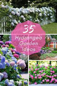 35 Hydrangea Garden Ideas Pictures Home Stratosphere Hydrangea Garden Vertical Herb Garden Garden Care