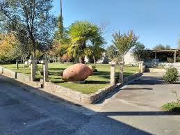 Uno con tres paradas respiratorias y otro con convulsiones. Img 20171029 122721 Large Jpg Picture Of Restaurante A Roda Mortagua Tripadvisor