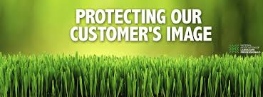 Check spelling or type a new query. Tlc Total Lawn Care Llc Linkedin