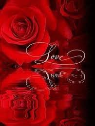 Pin On Florintean Rose Flower Garden