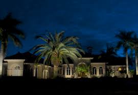 What Is The Best Way To Light My Palm Trees