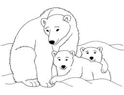 Choose your favorite coloring page and color it in bright colors. 21 Best Image Of Polar Bear Coloring Pages Entitlementtrap Com Polar Bear Coloring Page Polar Bear Color Bear Coloring Page