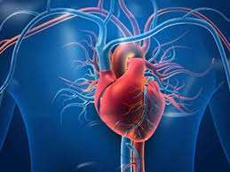 Coughing up phlegm (sputum) with signs of blood in it. Low Dose Ct Screening For Lung Cancer Can Also Id Aortic Stenosis