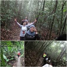 The kota damansara community forest park (kdcfp) is a secondary forest located in selangor, malaysia. Hiking Bootcamp At Kota Damansara Community Forest Reserve Gofitwithme Practical Wellness Fitness