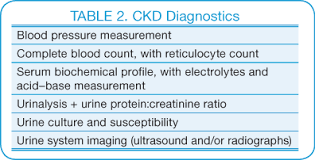 Canine Chronic Kidney Disease Diagnostics Goals For Long Term Management