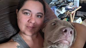 When a pitty viciously attacks!