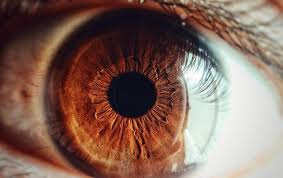 Sifi Spa On Twitter Microbiome Common Eye Diseases Conjunctivitis