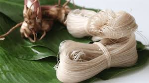 Việc làm tại bắc kạn. Tá»•ng Há»£p Ä'áº·c Sáº£n Báº¯c Káº¡n Táº¥t Cáº£ 27 Ä'áº·c Sáº£n Ná»•i Tiáº¿ng Cá»§a Báº¯c Káº¡n