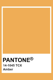 Pantone Amber Pantone Colour Palettes Pantone Color Yellow Pantone