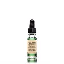 Blue cactus beauty elixir by evanhealy. Blue Cactus Prickly Pear Serum Evanhealy