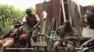 Stupid Soldier Gives Chimpanzee Machine Gun On Make A Gif Share a gif and browse these related gif searches. stupid soldier gives chimpanzee machine
