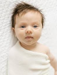 Sceptre Annual Report 2022-2023 by Christ the King School