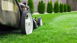 Hiring a personal fitness trainer might seem like a luxury if you are on a tight budget, but if you really want internal revenue service audit numbers dropped again in 2020, continuing a. 4 Benefits Of Professional Lawn Care Landmark Lawn And Landscape