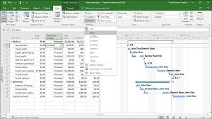 view project costs in microsoft project instructions