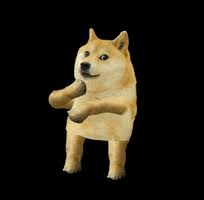 The best way to burn doge is with an ice cold drink in your dogecoin coozie, shipped to your mailbox. Doge Dogecoin Gif By Shibetoshi Nakamoto