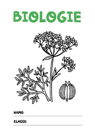 Deckblatt Biologie 4 Bio Deckblatt Deckblatt Biologie