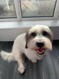 Katie's Pretty Paws‎‏ کی پروفائل‎