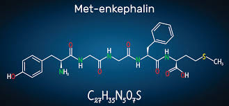 Moisture absorption and retention properties, and activity in alleviating skin photodamage of collagen polypeptide from marine fi sh skin // food chem. Polypeptide The Definitive Guide Biology Dictionary