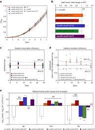 Maybe you would like to learn more about one of these? Trna Mediated Codon Biased Translation In Mycobacterial Hypoxic Persistence Nature Communications