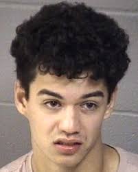 20-year-old accused of kicking cop ordered to be released