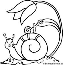 Existen caracoles marinos y terrestres que son apreciados por el hombre, principalmente por fines gastronómicos y de colección. Dibujo De Un Caracol Y Una Tortolita