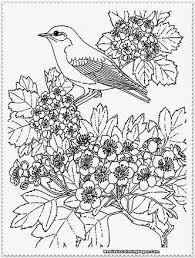 There are 423 realistic coloring pages for sale on etsy, and they cost $4.00 on average. Image Result For Realistic Coloring Pages For Adults Bird Coloring Pages Cool Coloring Pages Zoo Animal Coloring Pages