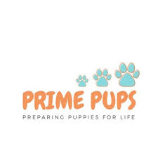 Puppy sounds is a whelping box and young puppy sound conditioning/habituation cd for working and show puppies that will encounter many different environments, and sounds, in their travels than a normal pet would. Dogs Growling Sound Effect 7 Sounds To Annoy Dogs Hd By Allsorts Dog Training