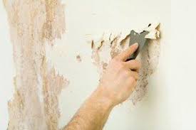 2021 Wallpaper Removal Costs Average Price To Strip Wallpaper Homeadvisor