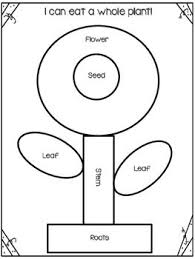 I Can Eat A Whole Plant Plant Lessons Plants Worksheets Plant Activities