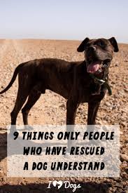9 Things Only People Who Have Rescued A Dog Understand Rescue Dog Quotes Dog Rescue Tshirts Rescue Dogs