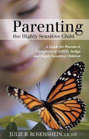 Your job is to help him look. Parenting The Highly Sensitive Child A Guide For Parents Caregivers Of Adhd Indigo And Highly Sensitive Children Rosenshein Julie B 9781452566924 Amazon Com Books