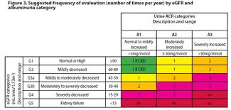 chronic kidney disease identification evaluation and