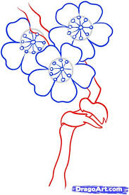 Check spelling or type a new query. How To Draw Blossoms Step By Step Flowers Pop Culture Free Online Drawing Tutorial Cherry Blossom Drawing Flower Doodles Hand Embroidery Patterns Flowers