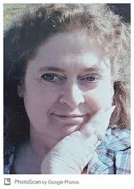 Cindy Fay Campbell Stever Obituary