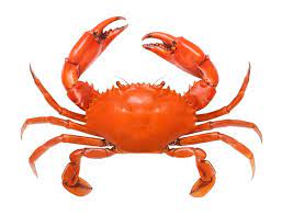 Mar 29, 2019 · determine how many bin numbers you should have. 10 Different Types Of Crabs Nayturr