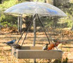 The bird feeder baffle is most useful with tube, suet or hummingbird feeders. Second Nature Small Recycled Plastic Hanging Tray Bird Feeder With Clear Weather Dome At Songbird Garden
